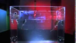 Умные Крысы    National Geographic