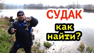 Как найти СУДАКА весной? Рыбалка на ДЖИГ!