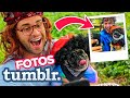 Imitando fotos de perros famosos con mi pug!! 🐶📸