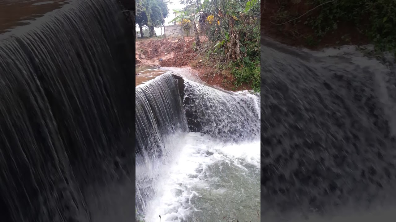 el canal de san miguel cotui YouTube