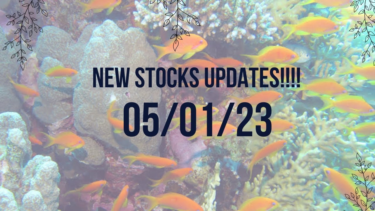 05/01/23 NEW STOCKS UPDATES!!! Calamba Saltwater Fish Shop in Laguna ...