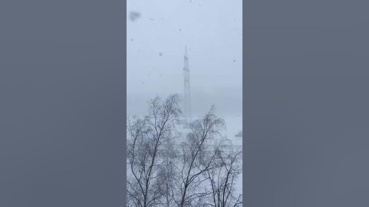 Погода в Питере в середине марта - YouTube