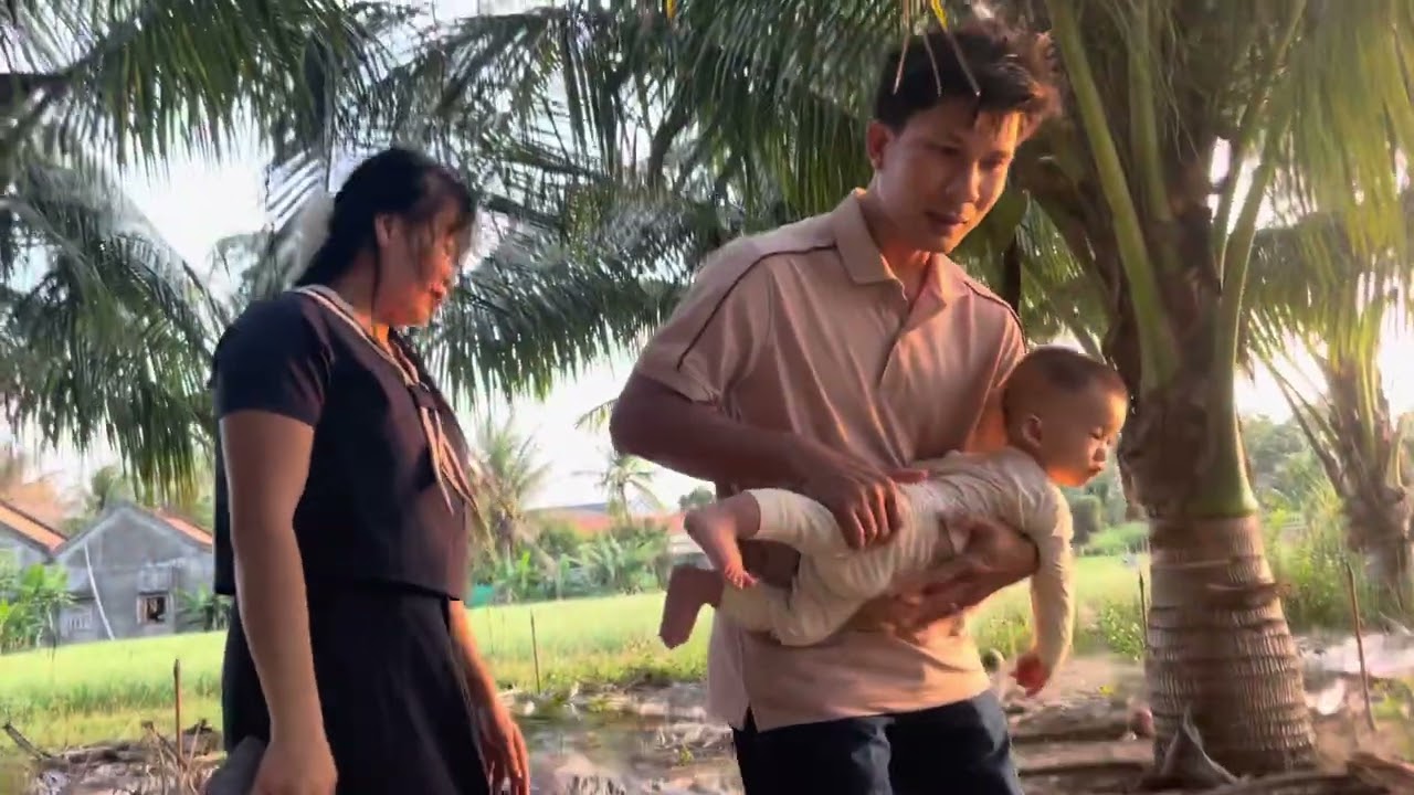 Nguyễn Vũ Tuyết ra thăm vườn dừa của ông bà 