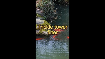 trickle tower filter for koi ponds