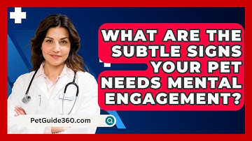 What Are The Subtle Signs Your Pet Needs Mental Engagement? - PetGuide360.com