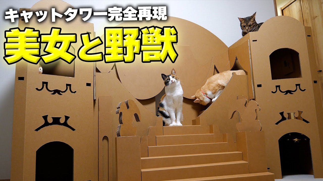 ディズニー  パレスペット  ベルのネコちゃん ディズニー パレスペット ベルのネコちゃん