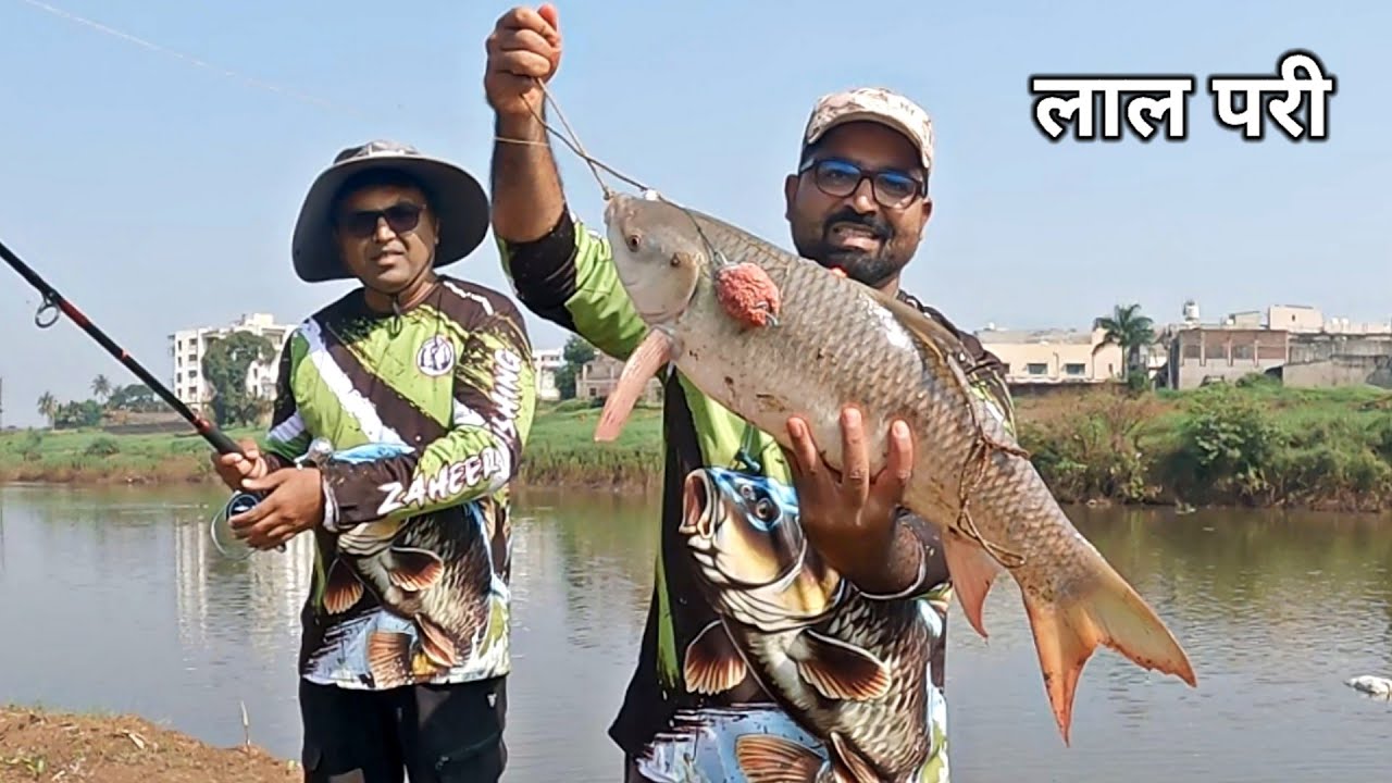 बहोत मुश्किल से निकाला ! Feeder Fishing For Carp ! Big Rohu Fish Catching !