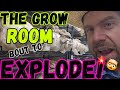 🍄The Grow Room Bout to EXPLODE!🤯💥#Mushroomfarmer #FarmingMushrooms #mycology #fungi #farmer