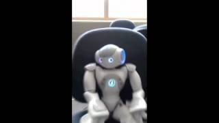 Looney the Robot (NAO) filtering fan noise screenshot 4