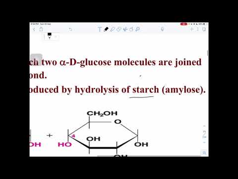 شرح السكريات الثنائية Disaccharides 1442