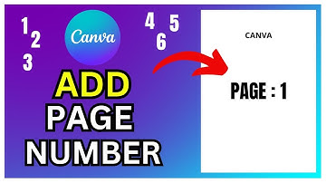 How to Add Page Number in Canva 2025?