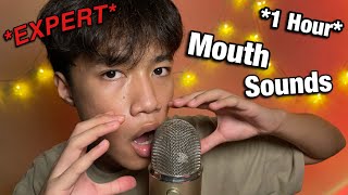 ASMR 1 Hour Expert Mouth Sounds
