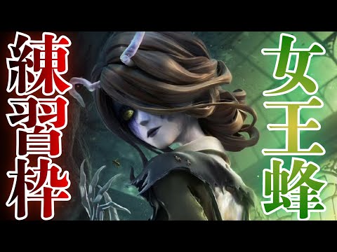 17時から第五人格！！新ハンター蜂ちゃん練習する！！！🐝💨【女王蜂