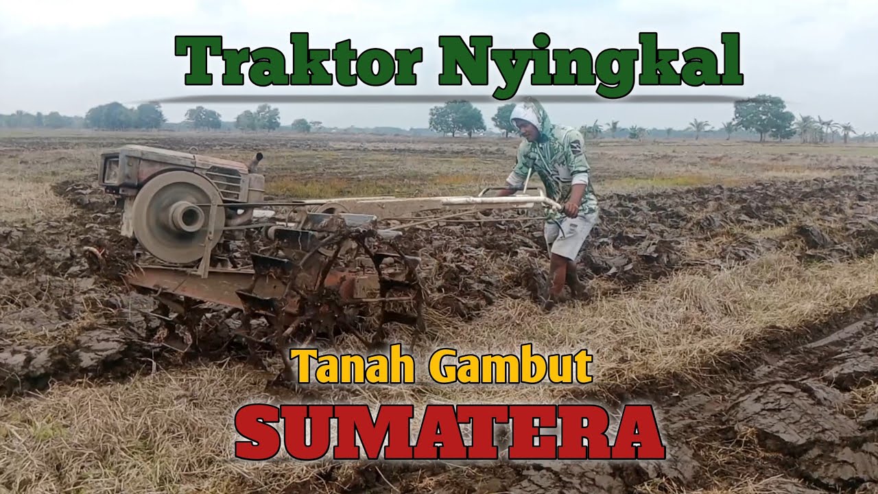 Traktor Nyingkal Sawah Sumatera