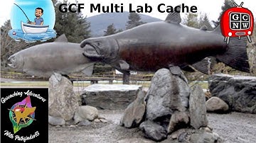 GCF Multi Lab Cache