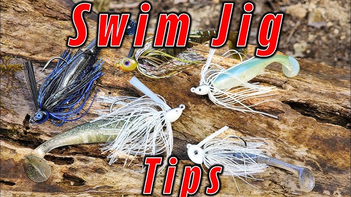 Swim Jig Basics for Bass Fishing 