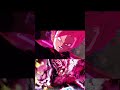 新キャラクターLEGEND悟空ブラックがかっこよすぎる笑 #レジェンズ #ドラゴンボール #dragonball #ドラゴンボールレジェンズガチャ