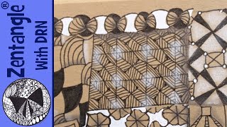 How To Draw - Bucky