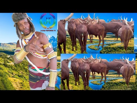 SHESHE NELEMI MBASANDO UJUMBE WA NZIKU Msambazaji Jileka Mapanda TV 2026 