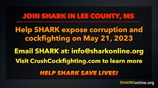 SHARK Targets Corrupt Mississippi Sheriff, Cockfighters