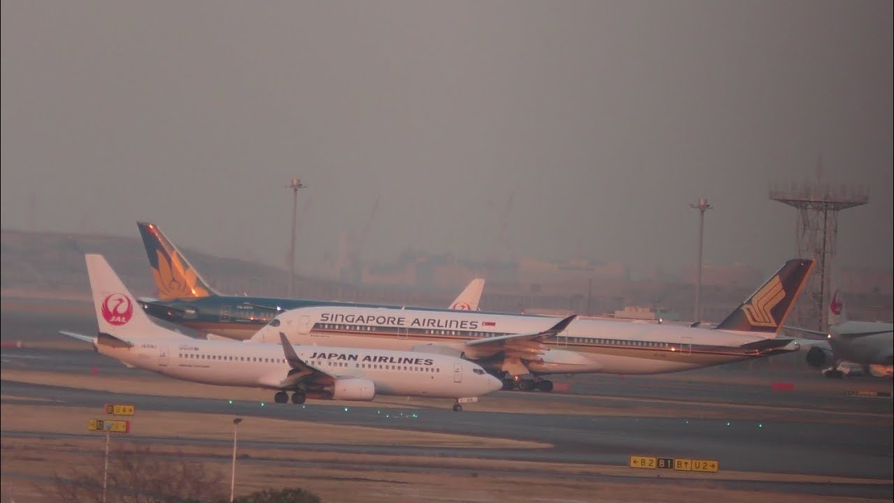 🔴 Airport Live Stream Challenging Approaches Tokyo Haneda  羽田空港