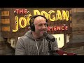 Joe Rogan Experience 2083 Taylor Sheridan