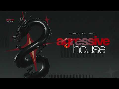 MEGA AGRESSIVE HOUSE - DJ FRACARI & TAI DIGITAL