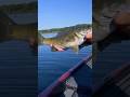 Spencer Shuffield casually scores grand slam in a matter of minutes in Champ Round on Beaver Lake