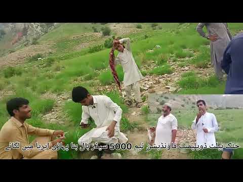 5000سیڈزبال لگانے کا انوکھا کارنامہ ۔۔۔#minidem #ihavethisthingwithplants #nature  #treeplantation