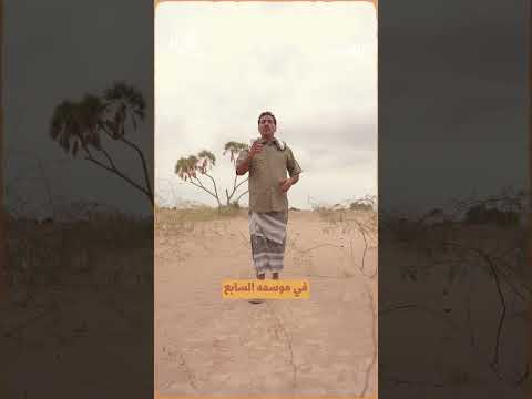حيث الإنسان7 قصة الأرض المهملة في لحج