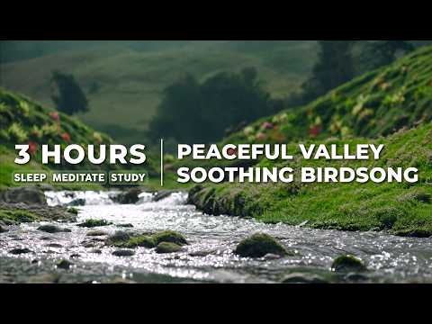 🌿 Peaceful Valley River Ambience | Soothing Water & Mountain Birds for Sleep, Study & Focus