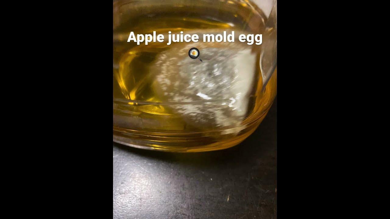 Apple juice mold egg 🍳 😋 delicious appetizing yummy egg mold 