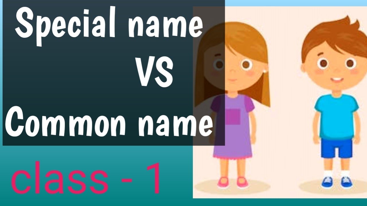special name  Vs common noun , class 1