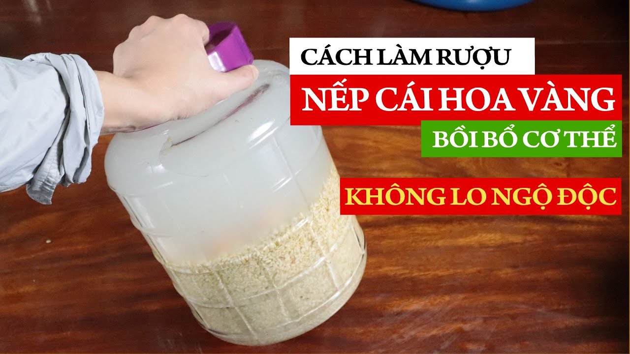 Rượu Nếp Cái Hoa Vàng - Cách làm rượu nếp cái hoa vàng... - youtube