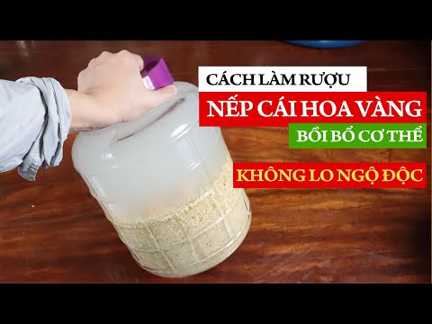 Video Rượu Nếp Cái Hoa Vàng - Cách làm rượu nếp cái hoa vàng... - youtube