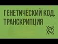 Генетический код. Транскрипция. Видеоурок по биологии 10 класс