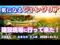 ◤沖縄旅行◢ ジャングリア開業まであと3ヶ月♯957 おきなわさんぽ沖縄散歩 I went to the Junglia construction site., Okinawa.