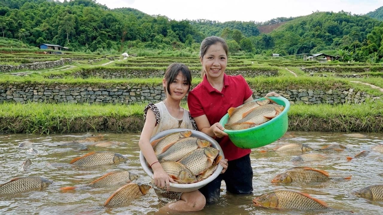 Harvesting A Lot Of Big Fish To Sell At Market - Take Care Vegetable | Hanna Daily Life
