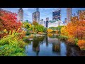 Central Park Fall Colors🍁🍂 - dji osmo mobile 3
