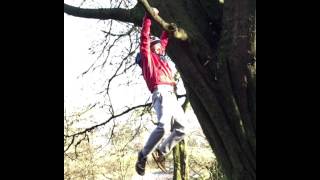Muscle up on a branch