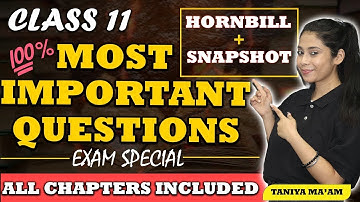 Class 11 Most Important Questions 2024-25 | Exam Special | Hornbill+Snapshot | Class 11 All chapters