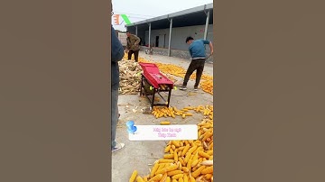 Nông nghiệp công nghệ cao, Tự động hóa trong sản xuất nông nghiệp