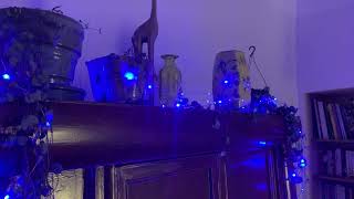 Fil lumineux extérieur animé 18m, 180 micro LED bleues vidéo