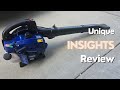 the WILD BADGER POWER Leaf Blower | Reviews Summary