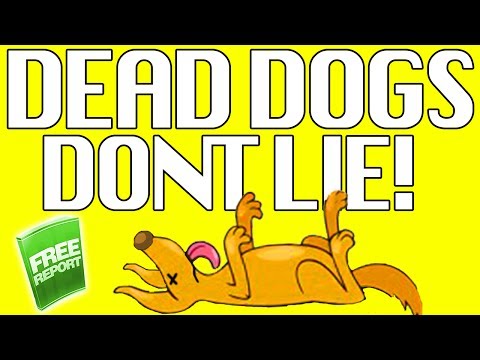 dog-food-recipes---free-mini-course-for-dog-food-recipes---watch-now