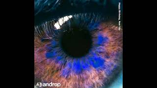 androp 