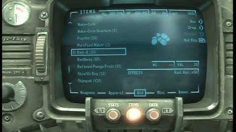 Fallout 3 Point Lookout Ending