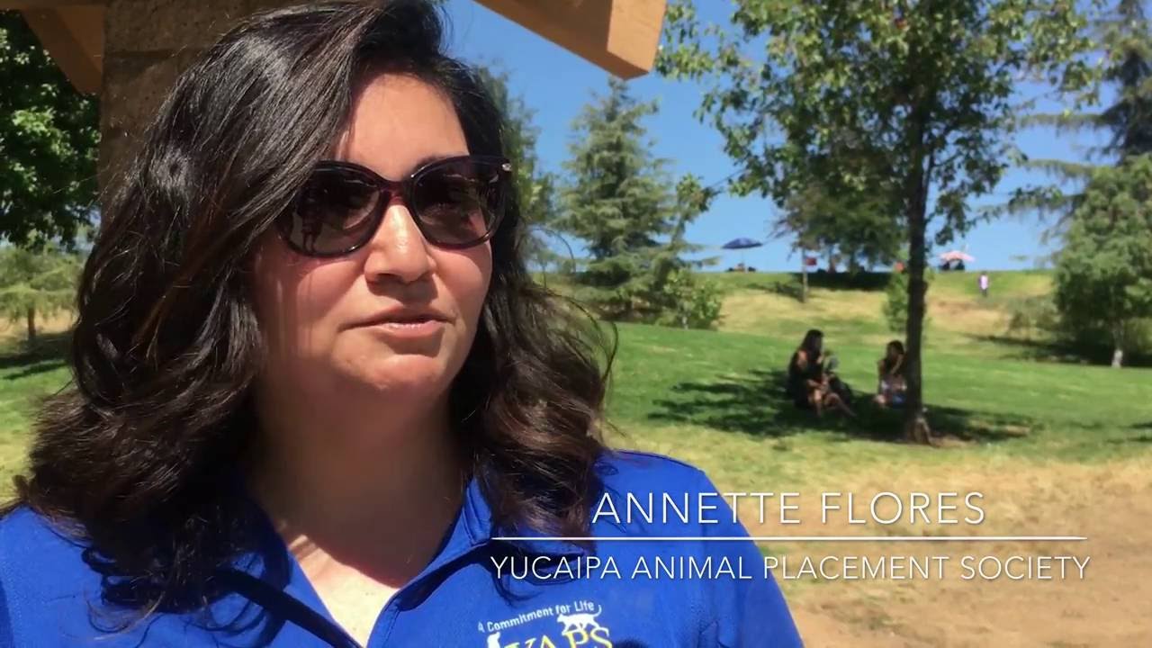 2016 Mega Pet Adoption Event