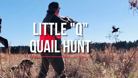 Quail Hunting at Little Q Ranch With The Guest Boys