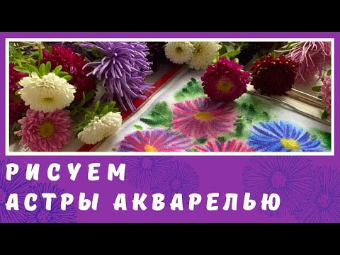 Рисуем астры акварелью. Натюрморт.